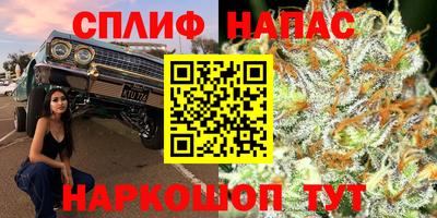 круглые Пугачёв
