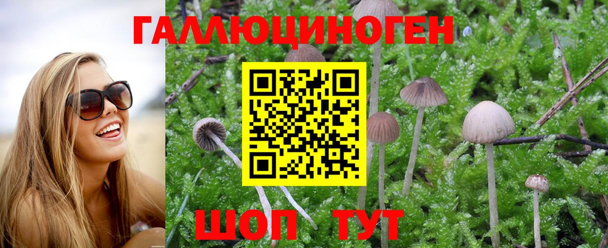 Северобайкальск  Псилоцибиновые грибы Magic Shrooms  Вход с VPN  закладка  Псилоцибиновые грибы мухоморы 