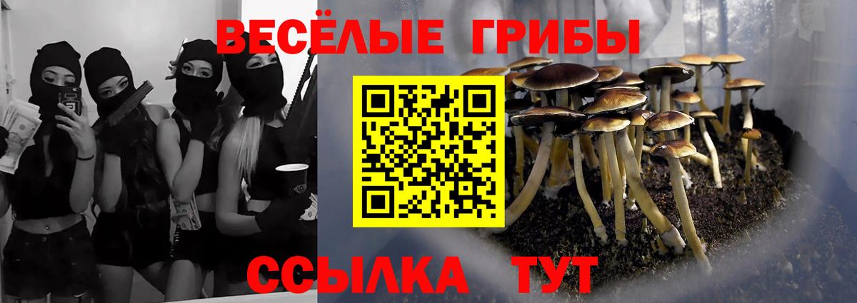 Галлюциногенные грибы мицелий Северобайкальск