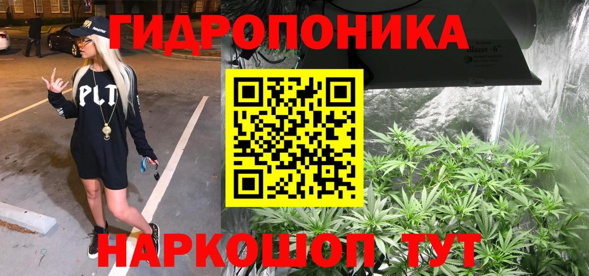 Бошки Шишки LSD WEED  Каннабис сатива  Северобайкальск  Шишки марихуана MAZAR  Вход с VPN  Марихуана MAZAR 